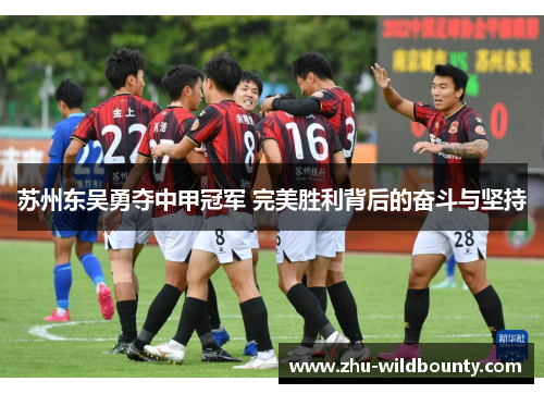 苏州东吴勇夺中甲冠军 完美胜利背后的奋斗与坚持
