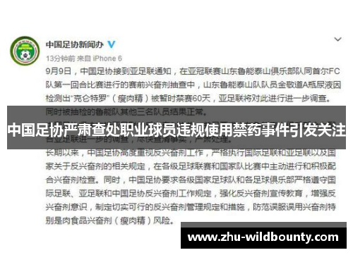 中国足协严肃查处职业球员违规使用禁药事件引发关注 中国足协严肃查处职业球员违规使用禁药事件引发关注